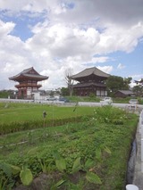 413b1115.jpg