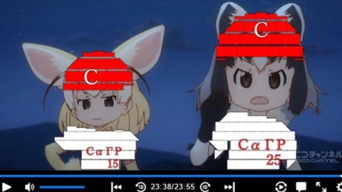アライさん4