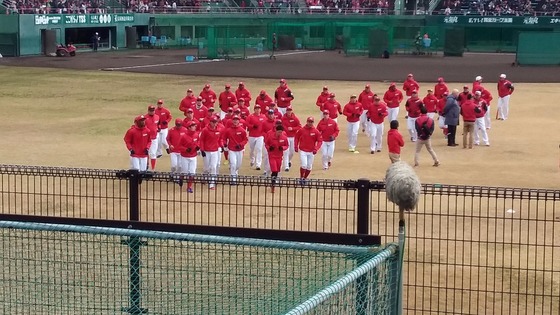 2019春季キャンプ34