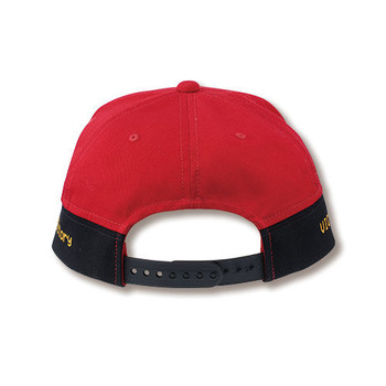 LED DISPLAY CAP4