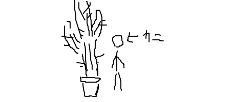 塹江サボテン