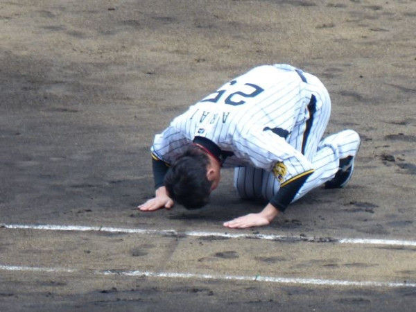 阪神新井土下座5