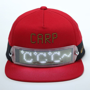 LED DISPLAY CAP2