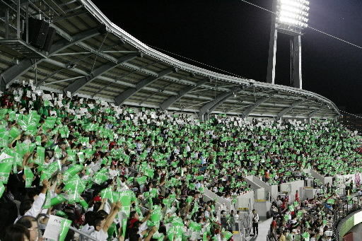 ピースナイター2009