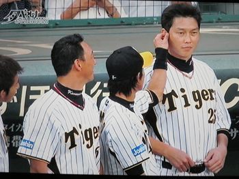 新井金本3
