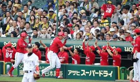 新井443
