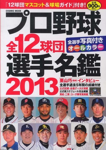 選手名鑑2013