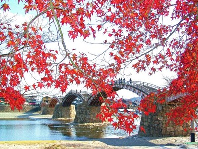 錦帯橋1