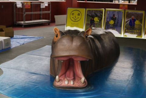 カバのカーパ1