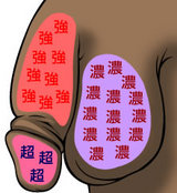怒られちゃったりするかな・・・
