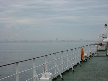 見えてきた