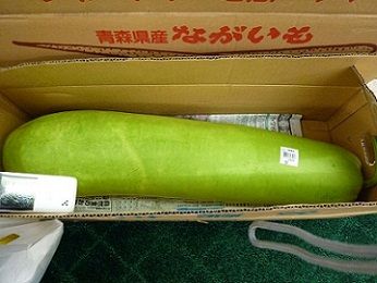 でかすぎ