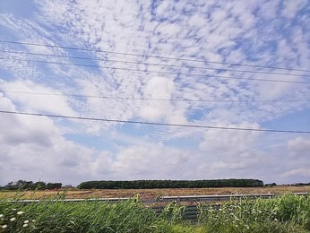 秋晴れ
