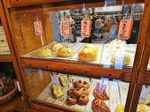 ショーケース1