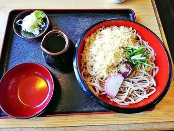 冷やしたぬき