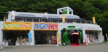 全景