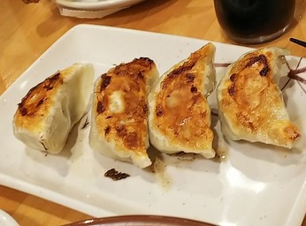 焼き餃子