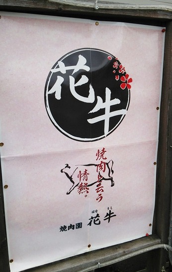 花牛