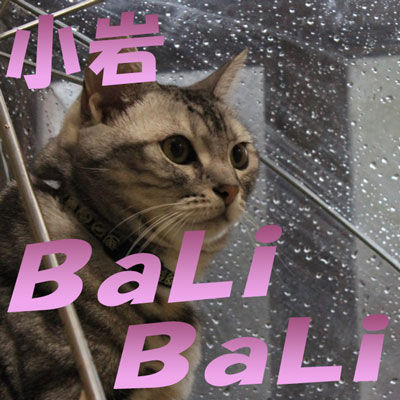 ブログ2