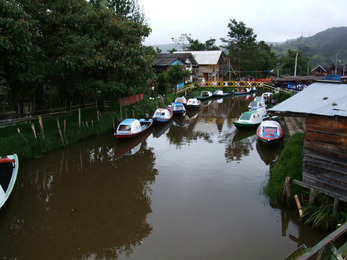 2011_0508Pasto0005