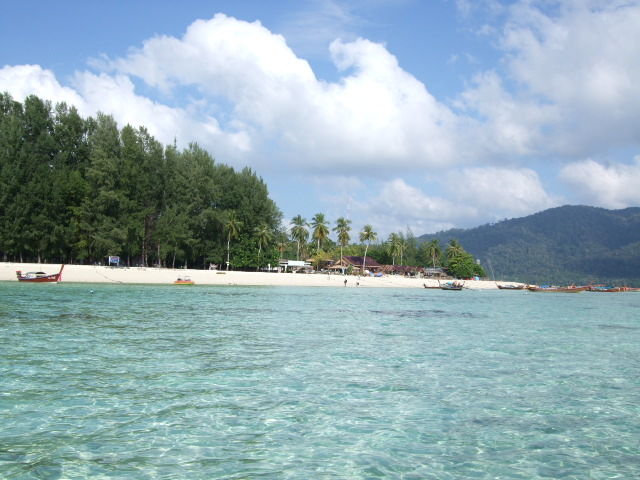 2010_1227lipe0016