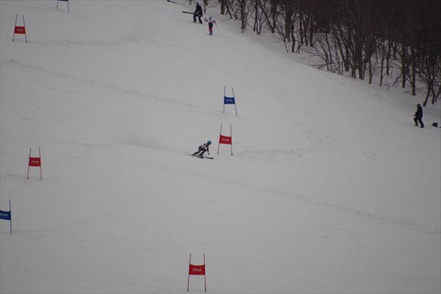 IMGP4911_R