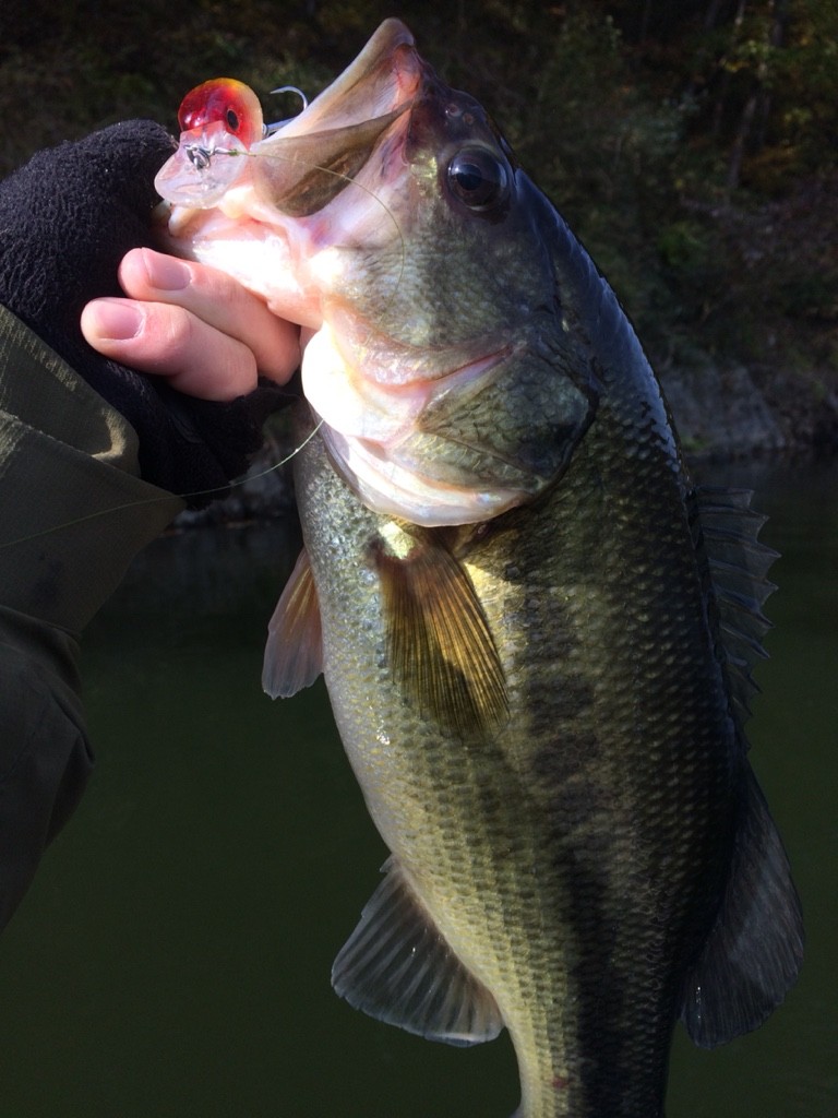 2014-11-21-11-24-42