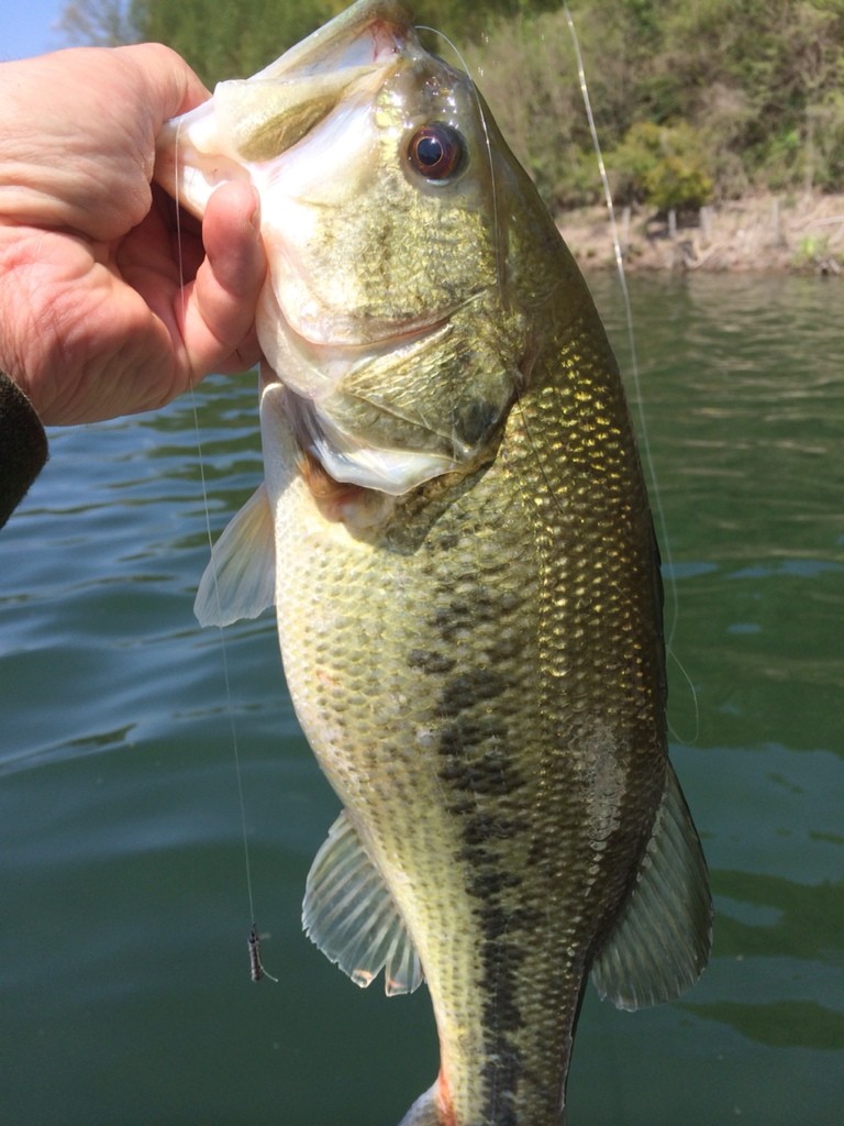 2014-04-23-13-39-14