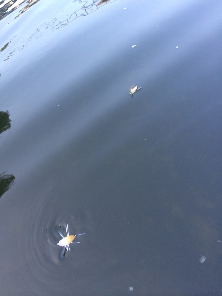 2014-07-30-07-53-25