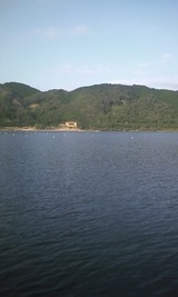 a81c2901.jpg