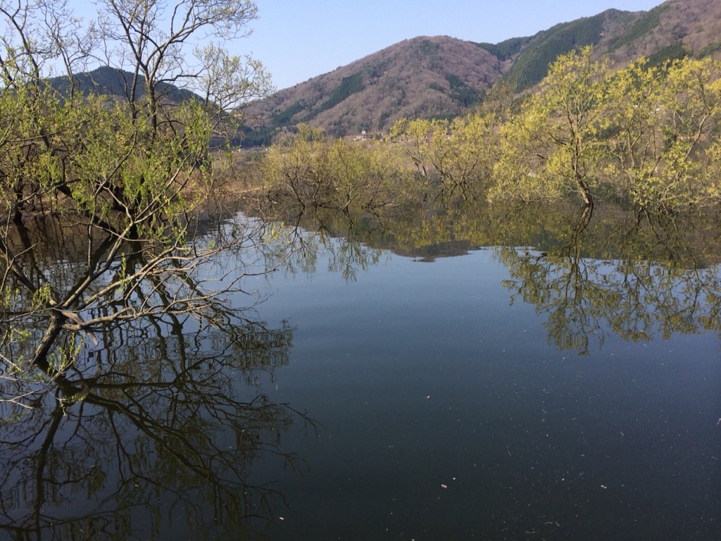 2014-04-15-08-44-13