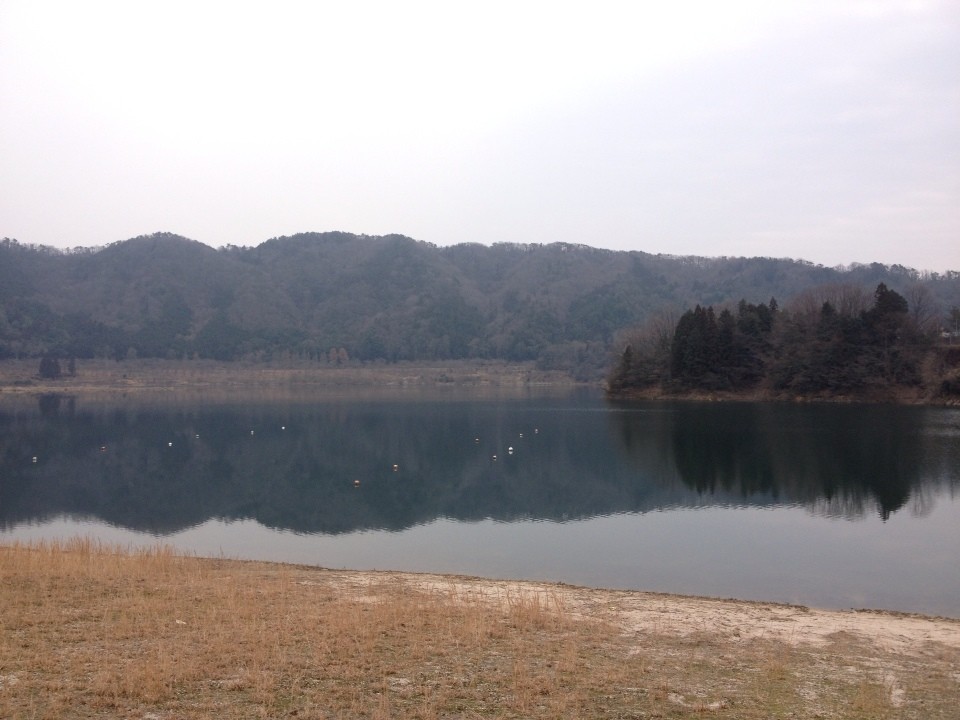 画像1