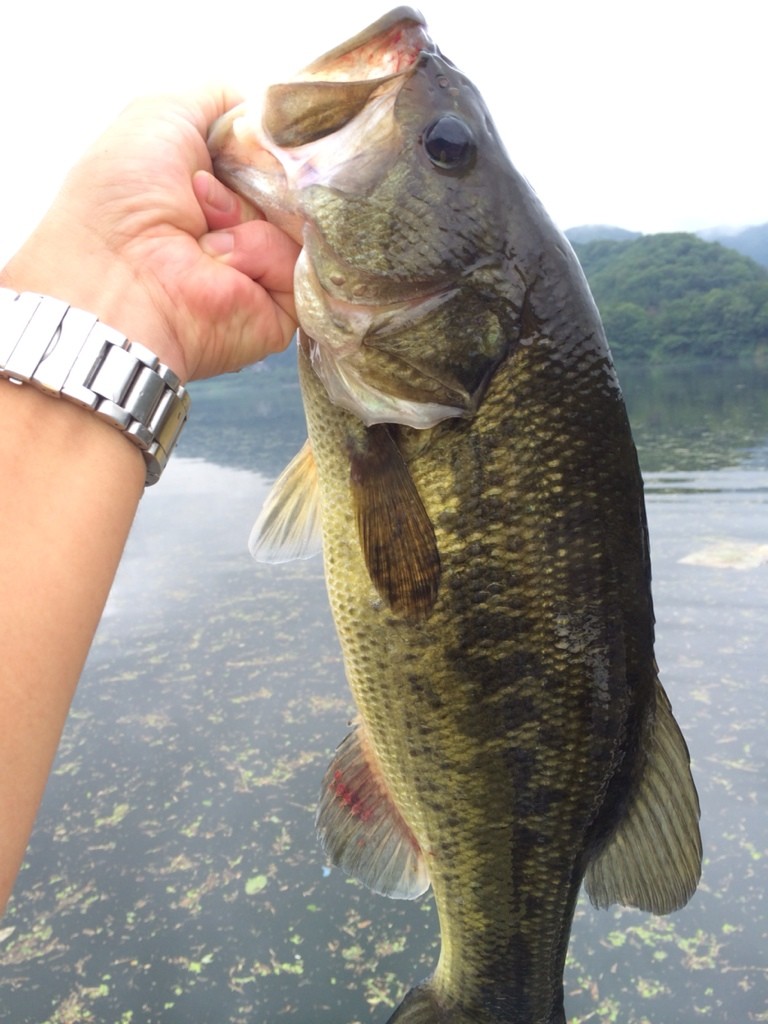 2014-07-14-08-38-13