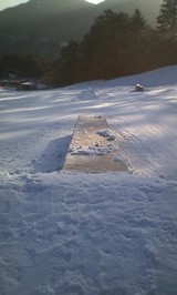 f3431453.jpg