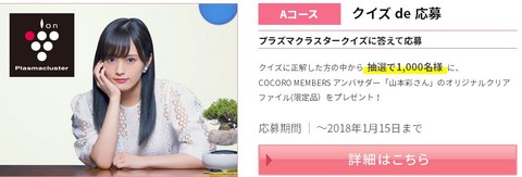山本彩クリアファイル