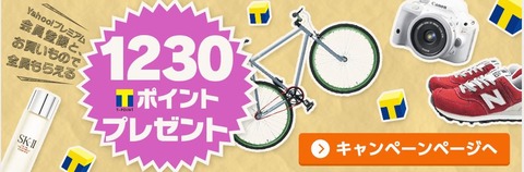 1230ポイント