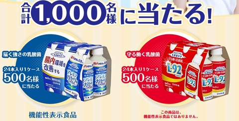 乳酸菌