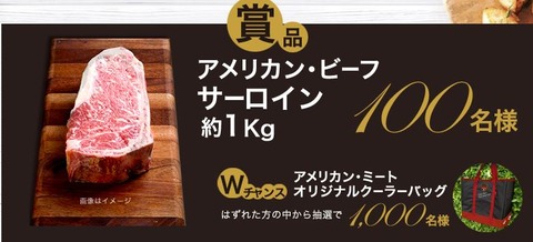 アメリカンビーフ