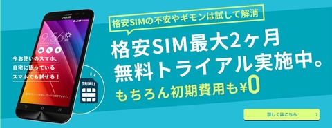 無料トライアル