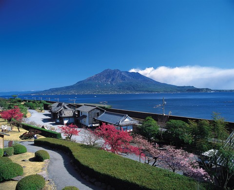 鹿児島:早春の仙巌園