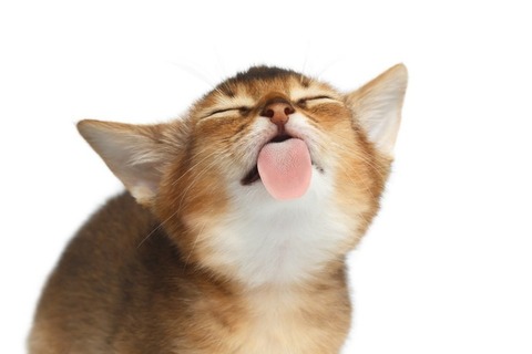 9620cf68f615ffcbd60864d0c3e8bbaa