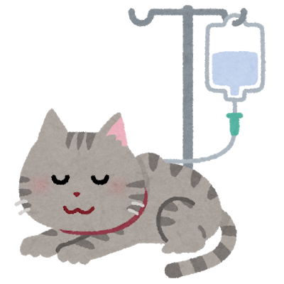 pet_tenteki_cat