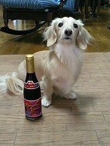 Beaujolais Nouveau