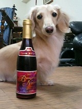 Beaujolais Nouveau