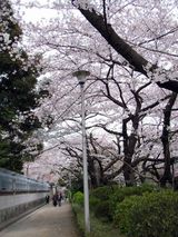 英国大使館