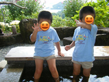 BlogPaint