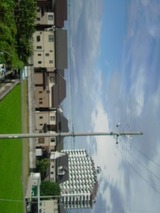 1c258457.jpg