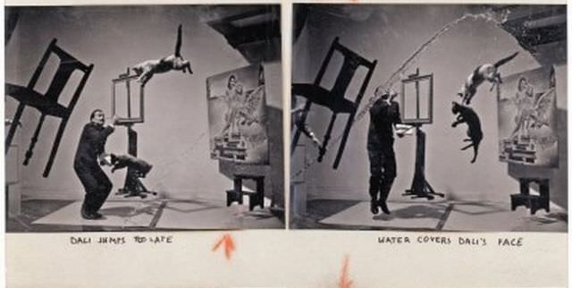 Dali Atomicus3