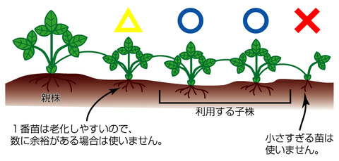 itigo3
