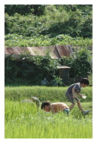 自然豊かな環境